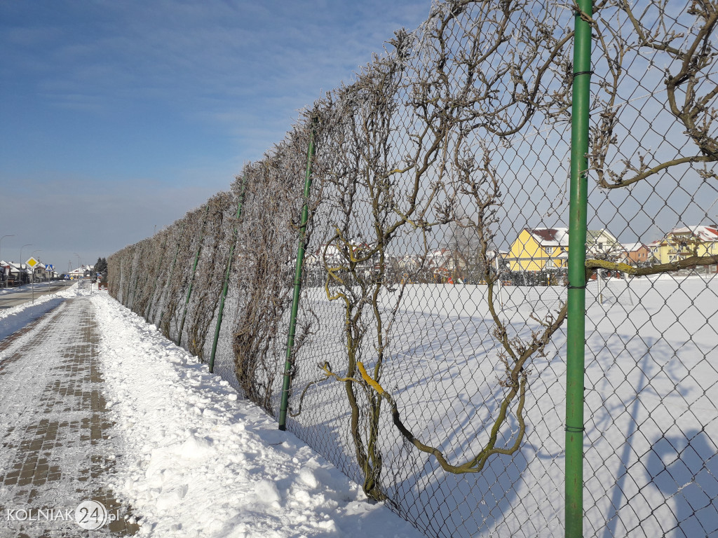 Kolno: Zima 2021