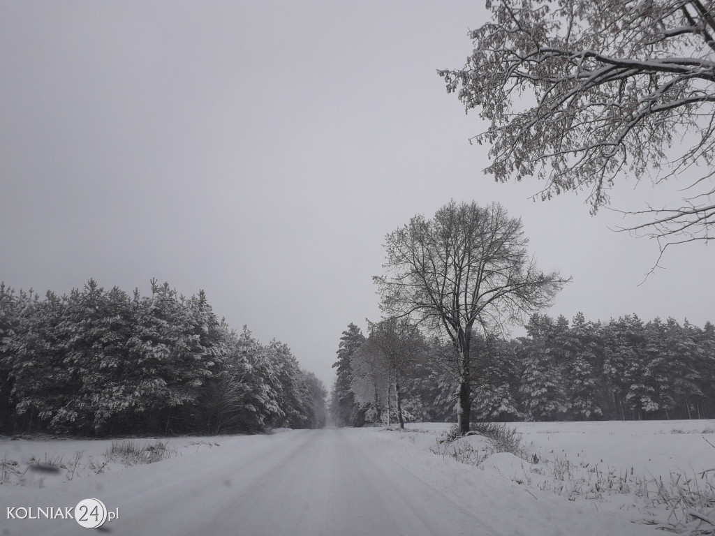 Podróż autem z Kolna do Grabowa