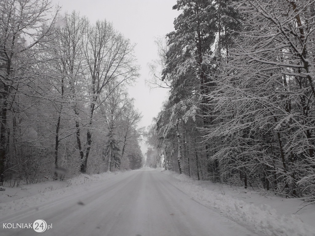 Podróż autem z Kolna do Grabowa