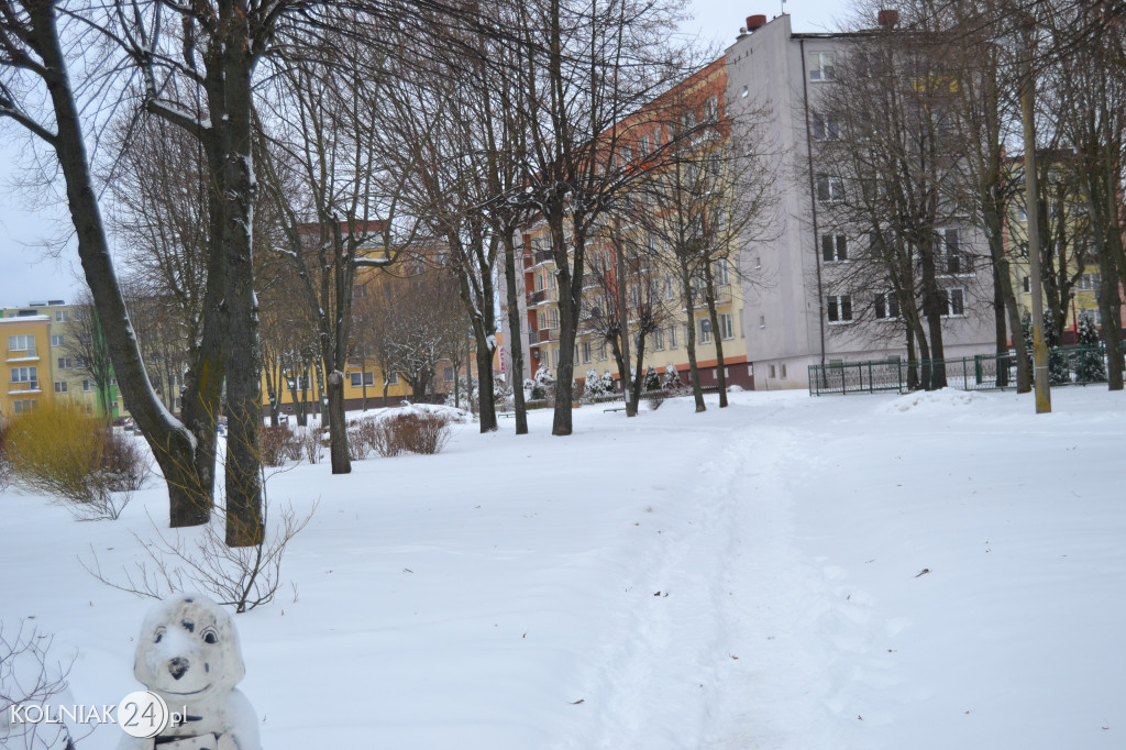 Kolno zasypane śniegiem (luty 2021)