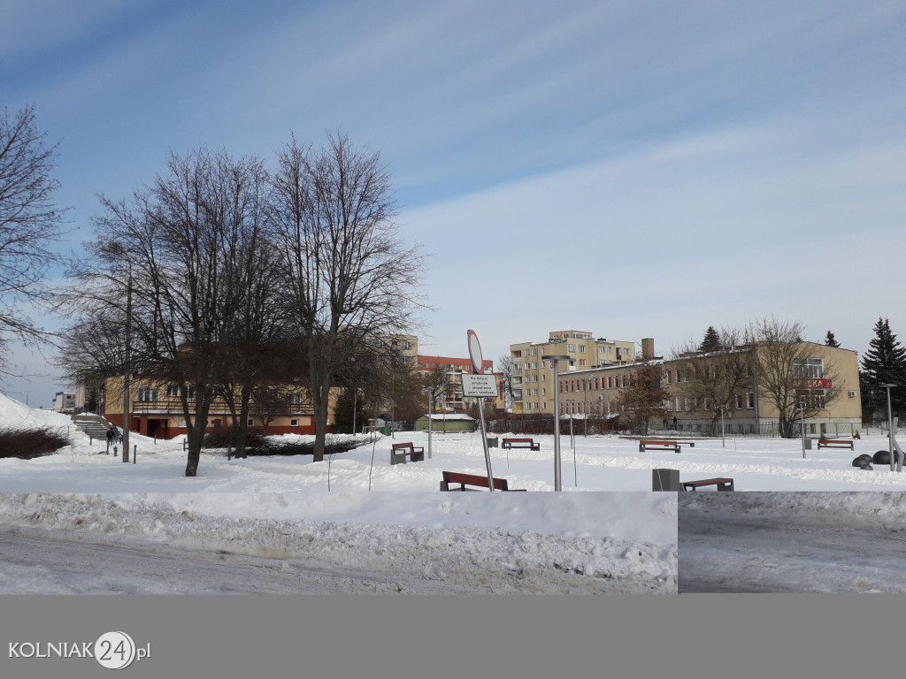 Wycinki drzew w Kolnie ciąg dalszy