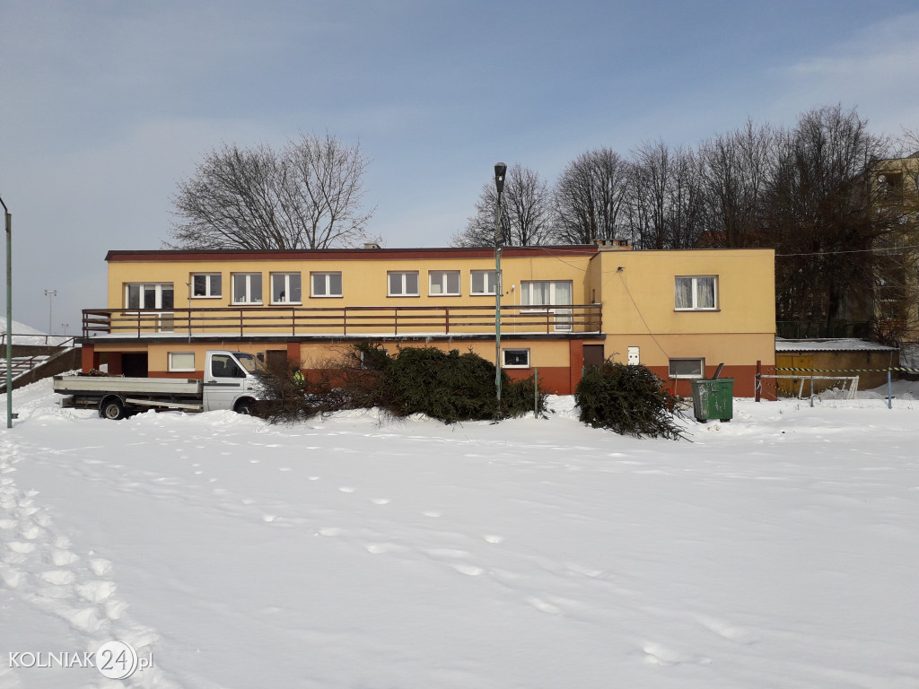 Wycinki drzew w Kolnie ciąg dalszy