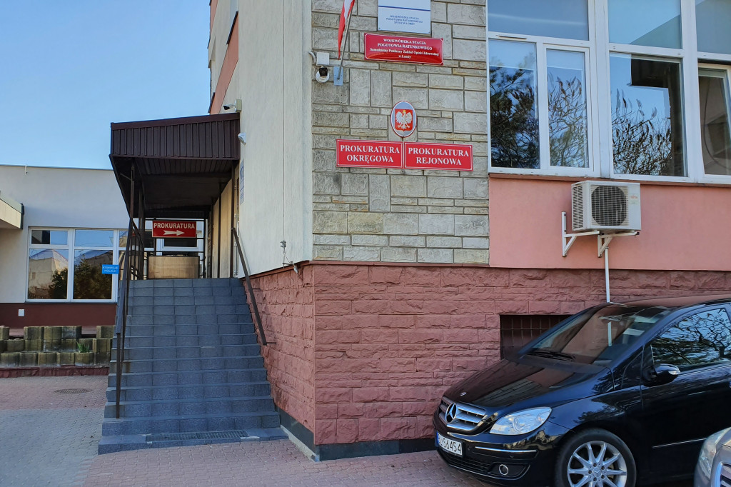 Słupki w lesie