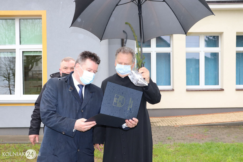 Świerki papieskie w  gminie Kolno