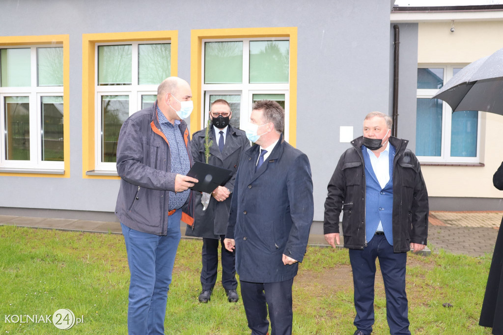 Świerki papieskie w  gminie Kolno