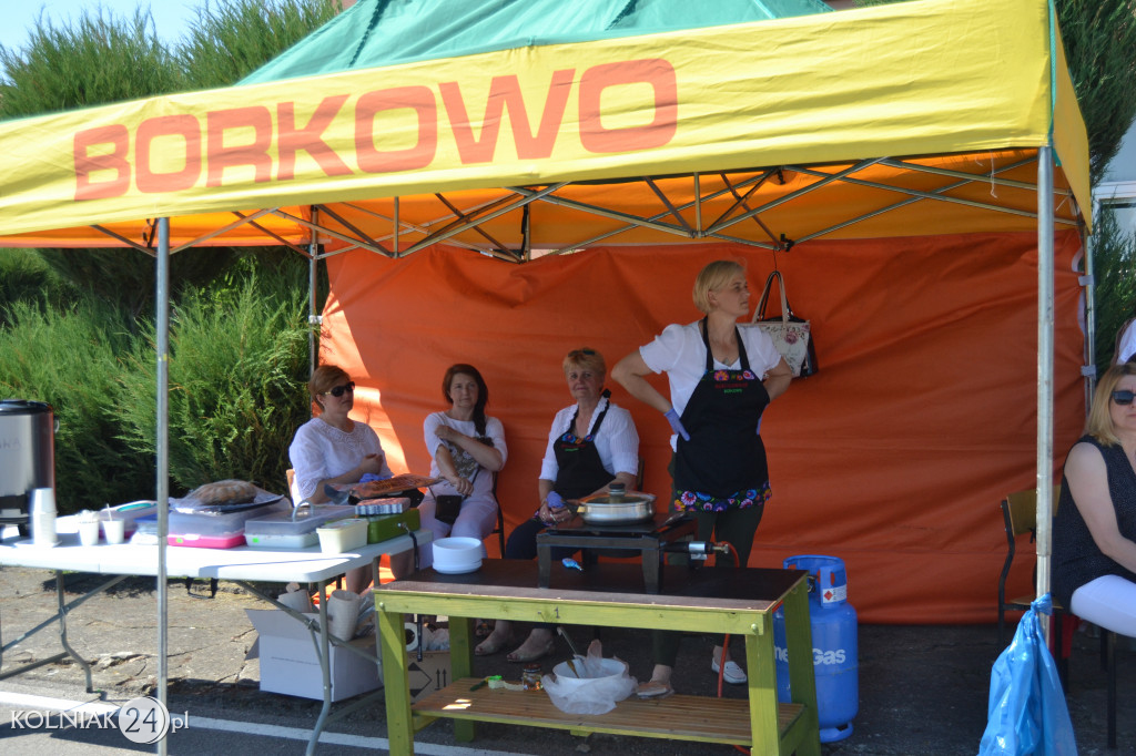 Piknik Naukowy w Kolnie
