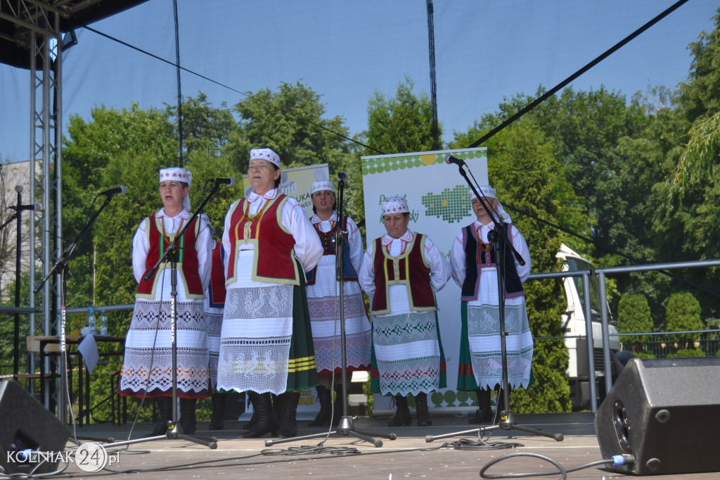 Piknik Naukowy w Kolnie