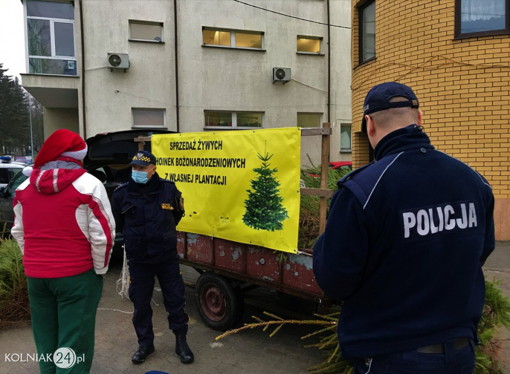 PRZECIWKO NIELEGALNEJ WYCINCE CHOINEK