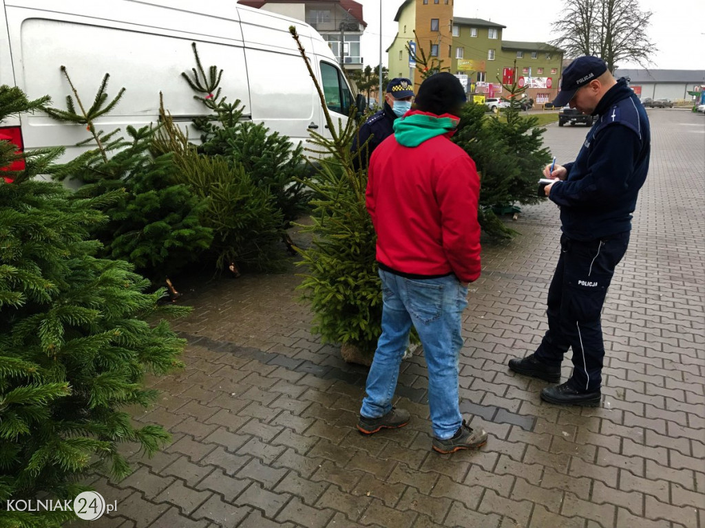 PRZECIWKO NIELEGALNEJ WYCINCE CHOINEK