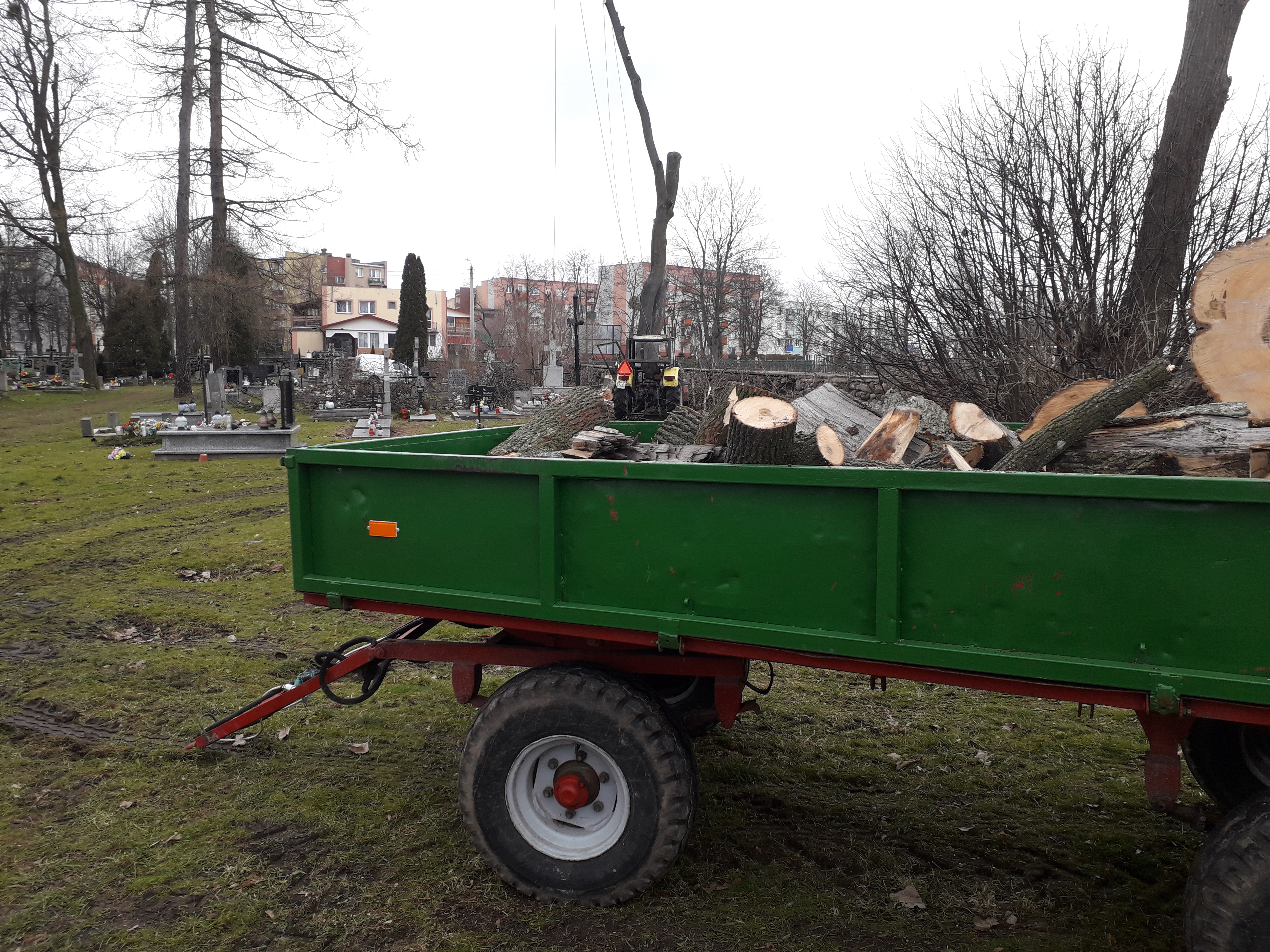 Wycinka drzew na cmentarzu