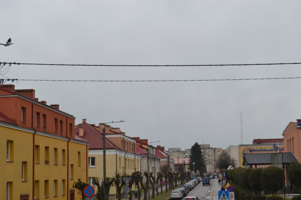 Podcięte drzewa na ulicy Kubraka