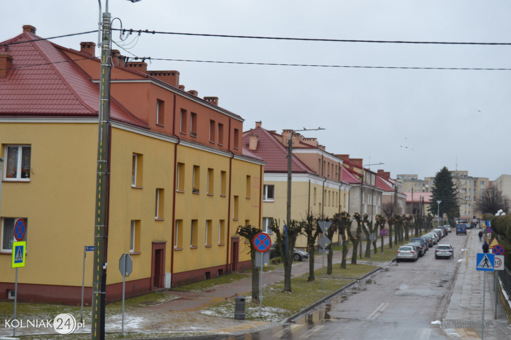 Podcięte drzewa na ulicy Kubraka