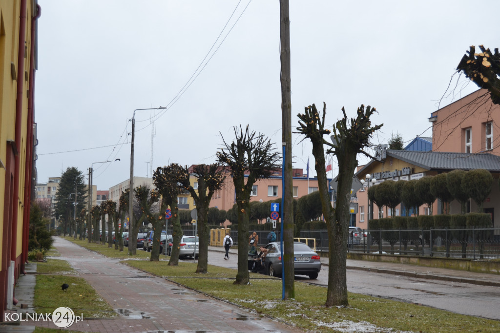 Podcięte drzewa na ulicy Kubraka