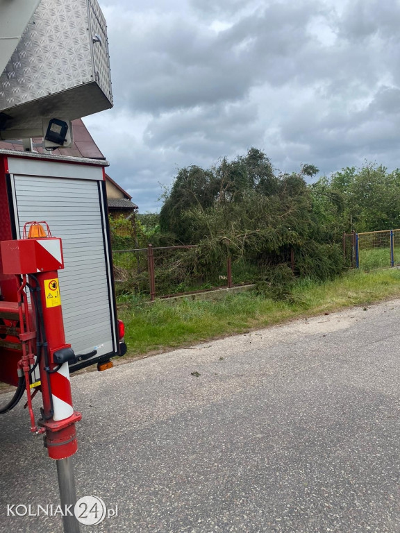 Usuwanie skutków silnego wiatru