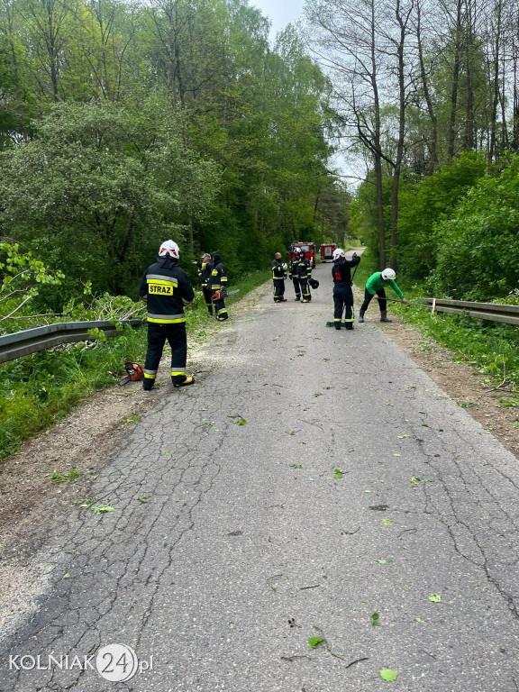 Usuwanie skutków silnego wiatru