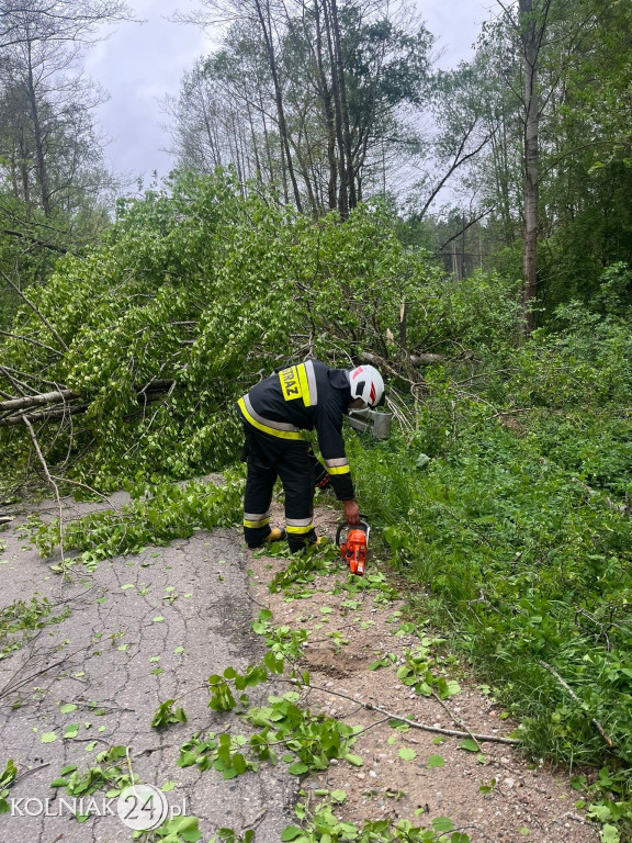 Usuwanie skutków silnego wiatru