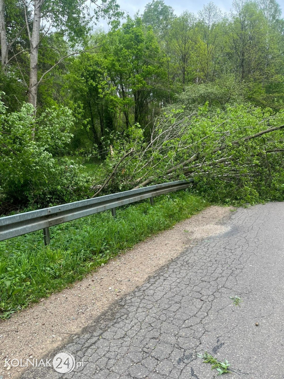 Usuwanie skutków silnego wiatru