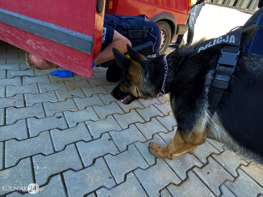 NOKSA KOLEJNY RAZ W AKCJI Z POLICJANTAMI