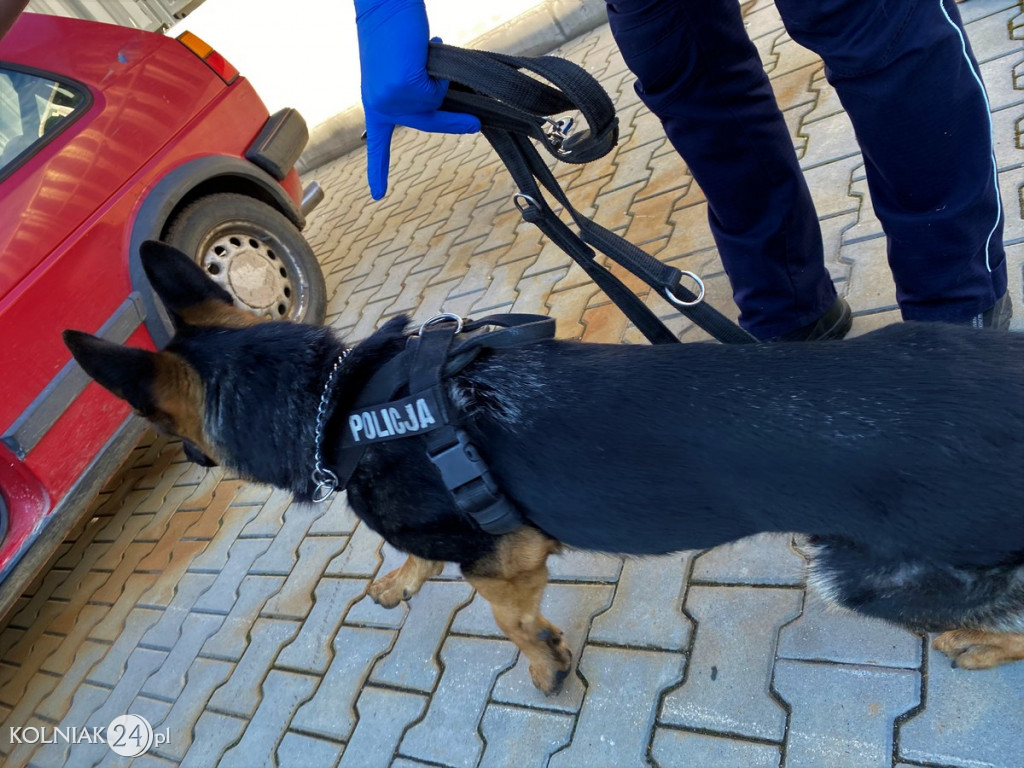 NOKSA KOLEJNY RAZ W AKCJI Z POLICJANTAMI