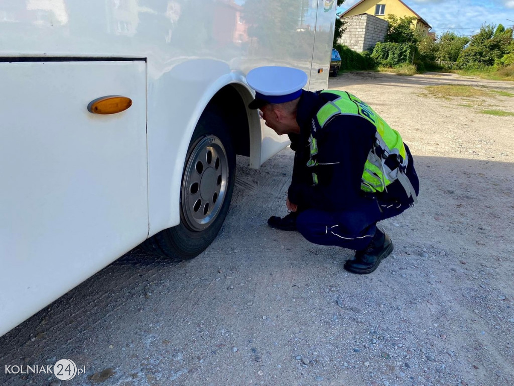 Kontrola gimbusów w powiecie kolneńskim