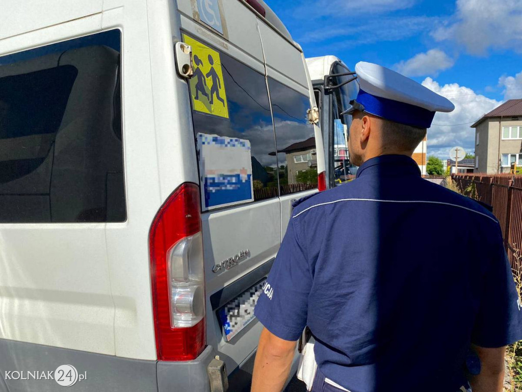 Kontrola gimbusów w powiecie kolneńskim