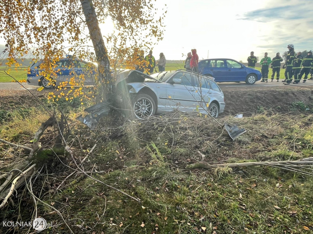 Samochód osobowy uderzył w drzewo