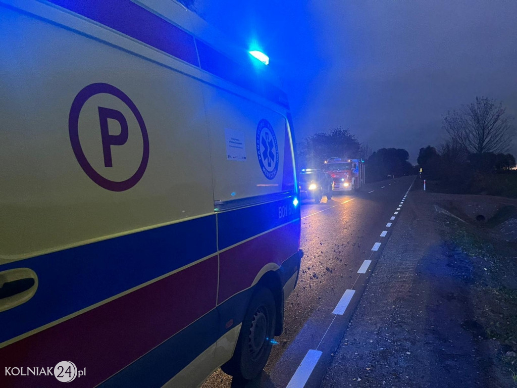 Samochód osobowy uderzył w drzewo