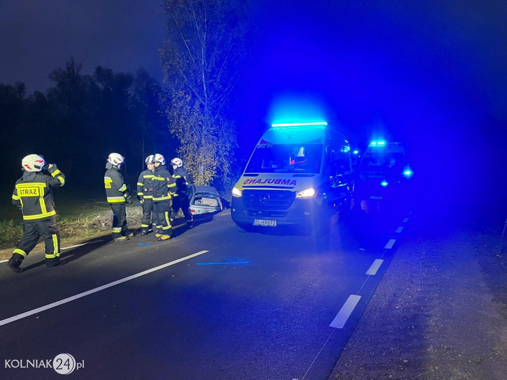 Samochód osobowy uderzył w drzewo
