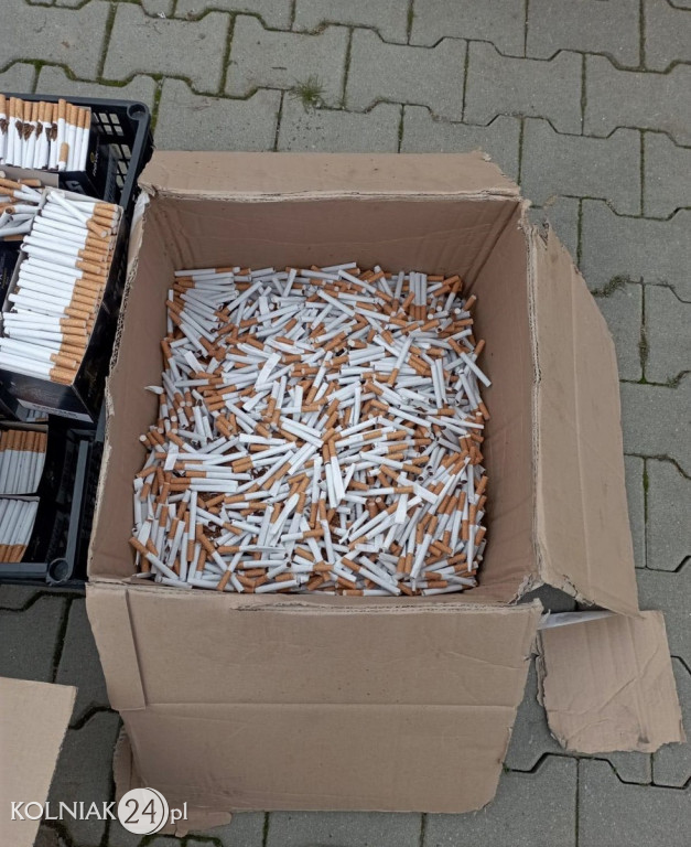 PONAD PÓŁ TONY NIELEGALNEGO TYTONIU
