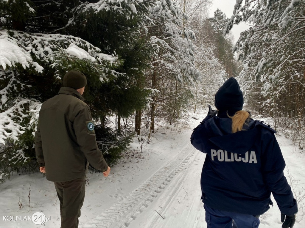 Sprawdzają legalność pochodzenia choinek
