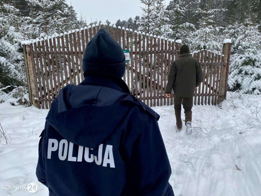 Sprawdzają legalność pochodzenia choinek