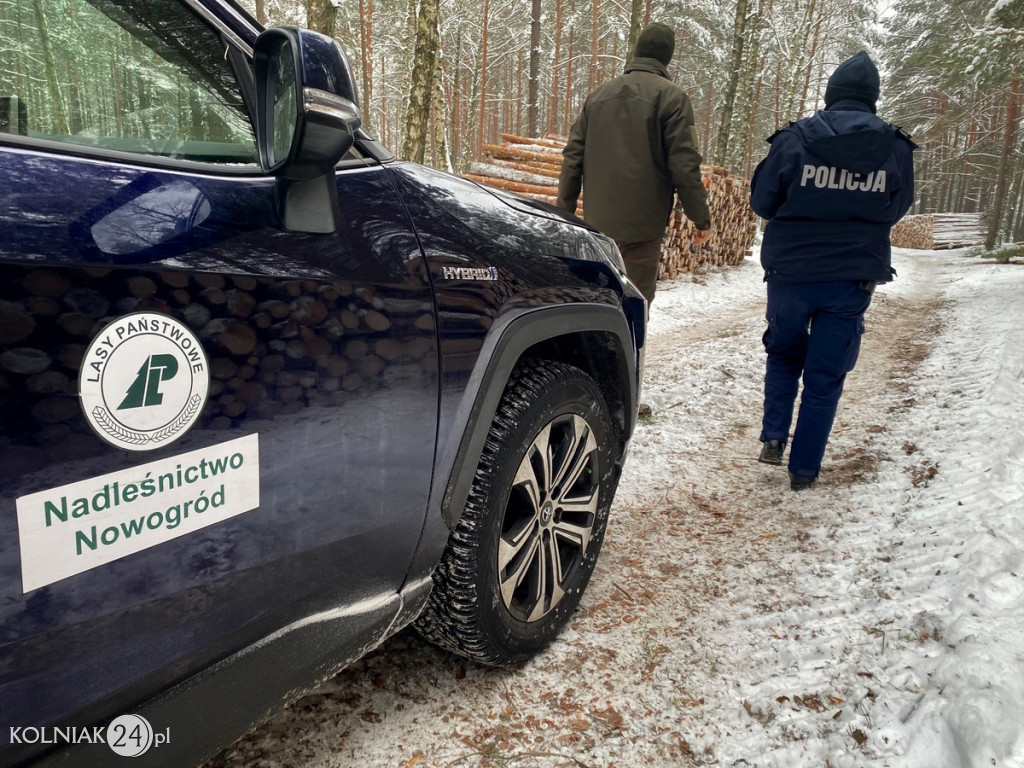 Sprawdzają legalność pochodzenia choinek