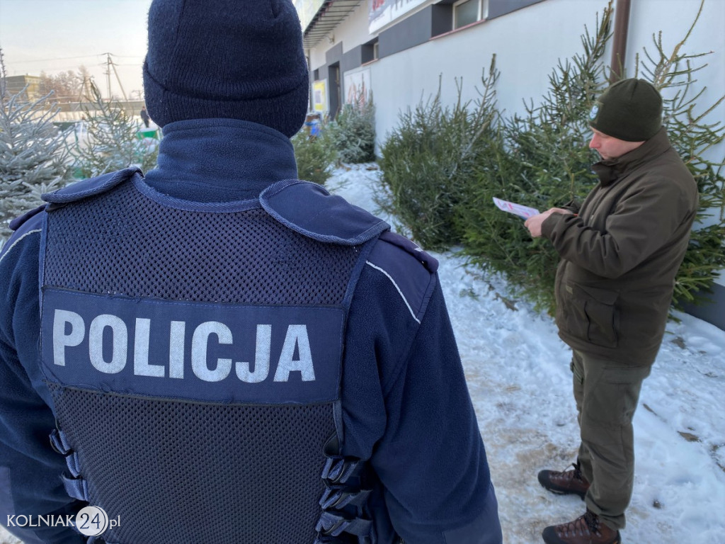 Sprawdzają legalność pochodzenia choinek