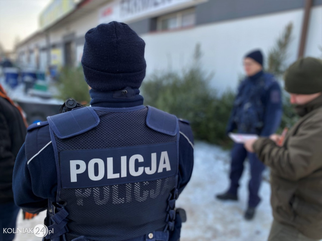 Sprawdzają legalność pochodzenia choinek