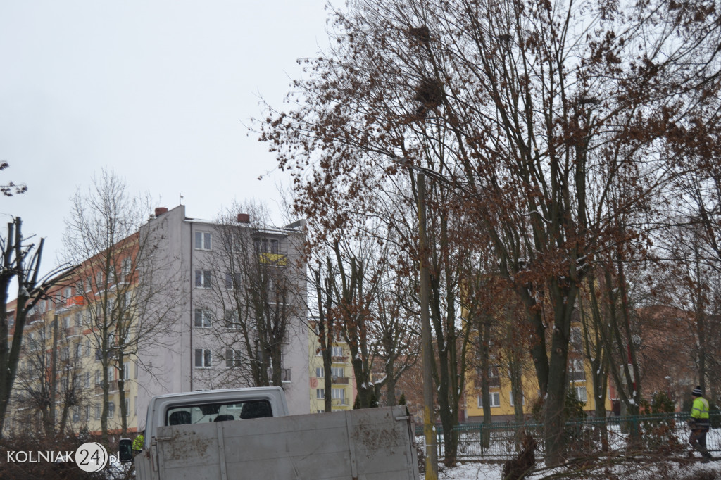 Mieszkańcy czekają na uprzątnięcie alejki