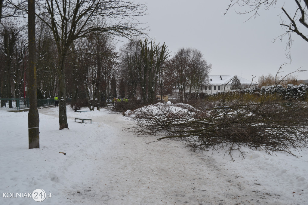 Mieszkańcy czekają na uprzątnięcie alejki