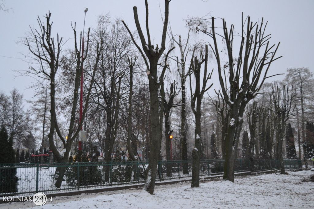 Mieszkańcy czekają na uprzątnięcie alejki