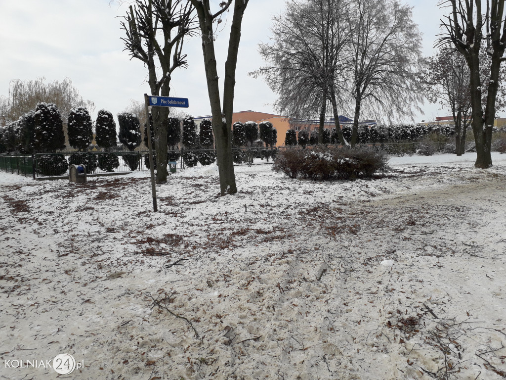 Mieszkańcy czekają na uprzątnięcie alejki
