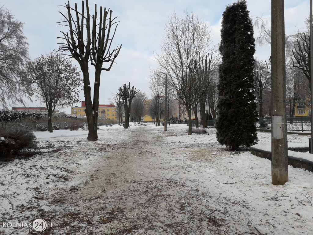 Mieszkańcy czekają na uprzątnięcie alejki