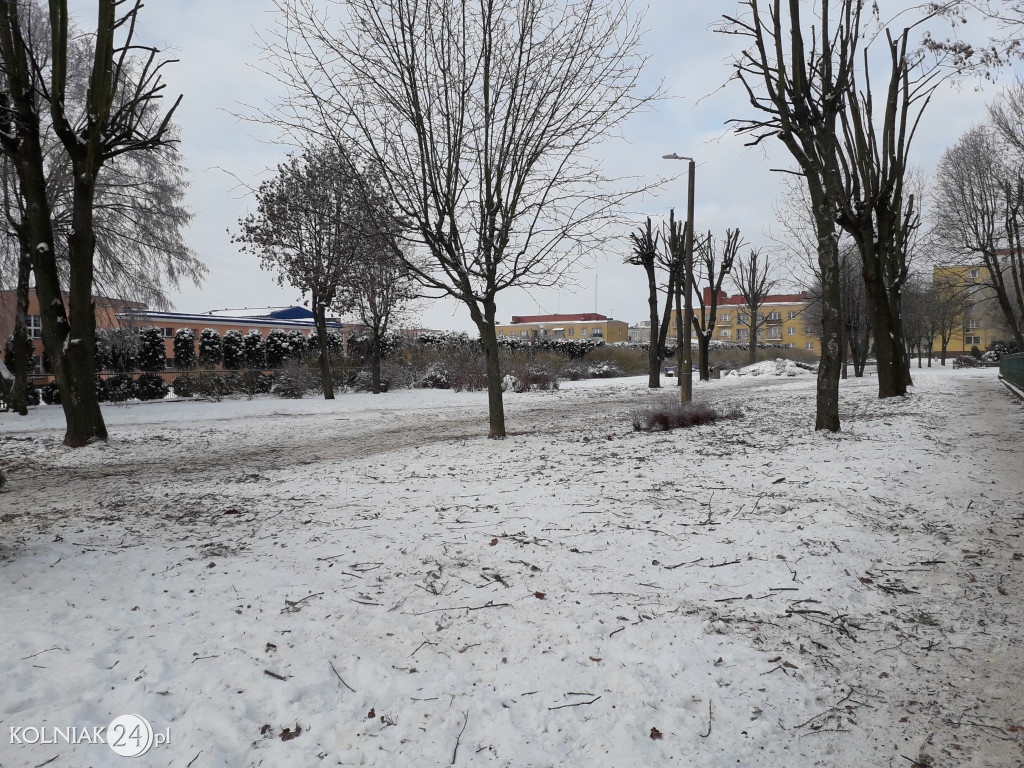 Mieszkańcy czekają na uprzątnięcie alejki