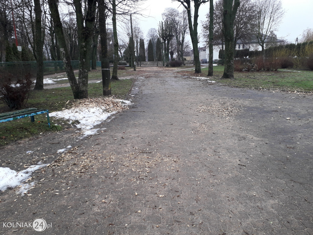 Mieszkańcy czekają na uprzątnięcie alejki