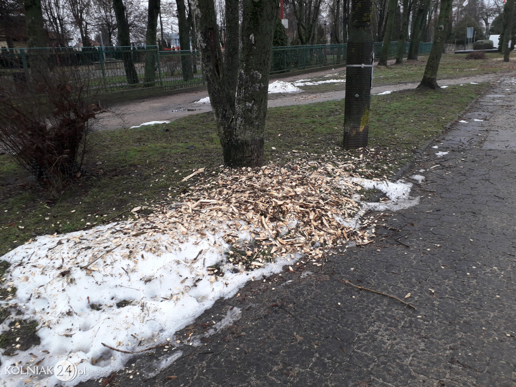 Mieszkańcy czekają na uprzątnięcie alejki