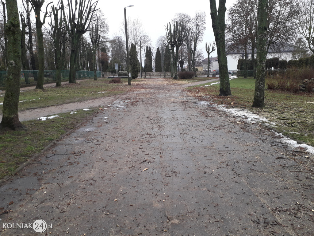 Mieszkańcy czekają na uprzątnięcie alejki