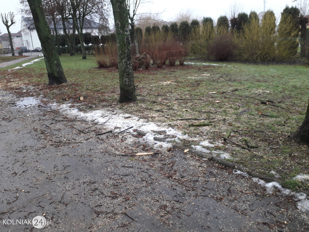 Mieszkańcy czekają na uprzątnięcie alejki