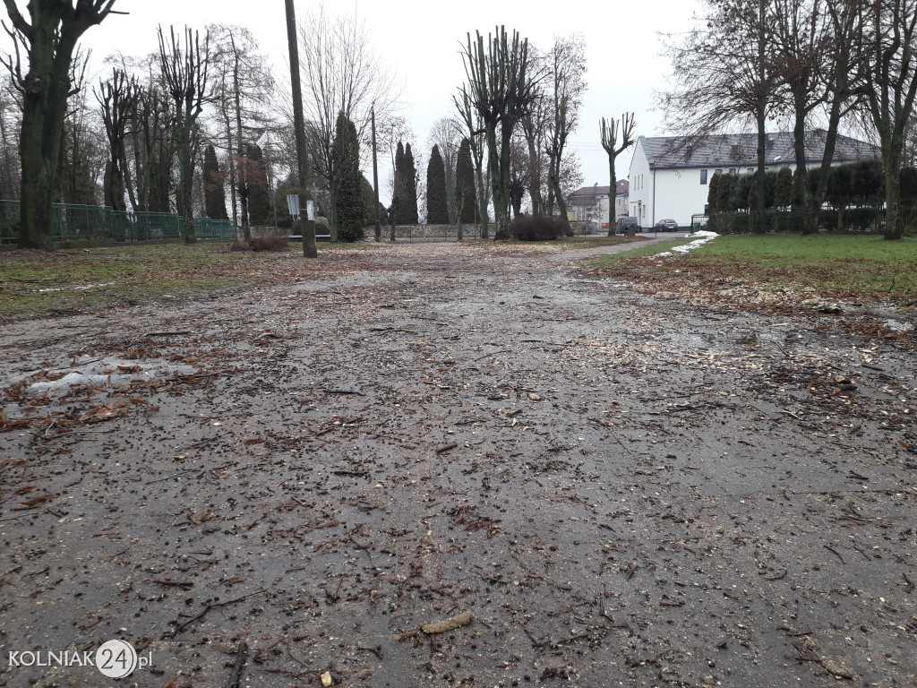 Mieszkańcy czekają na uprzątnięcie alejki
