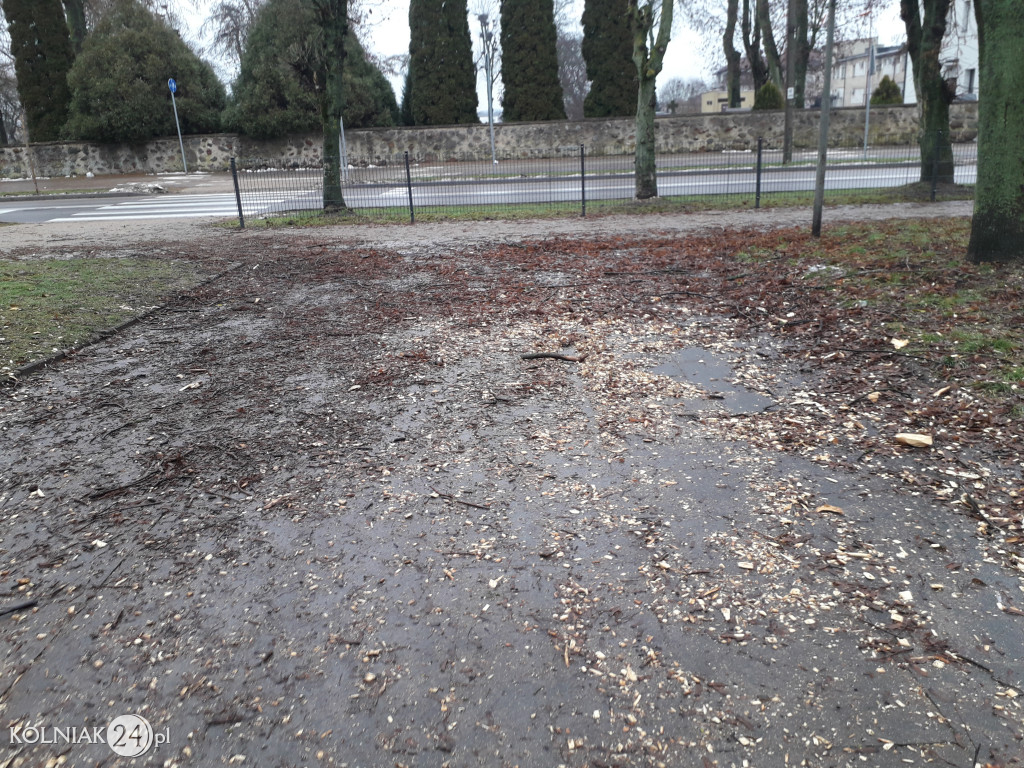 Mieszkańcy czekają na uprzątnięcie alejki