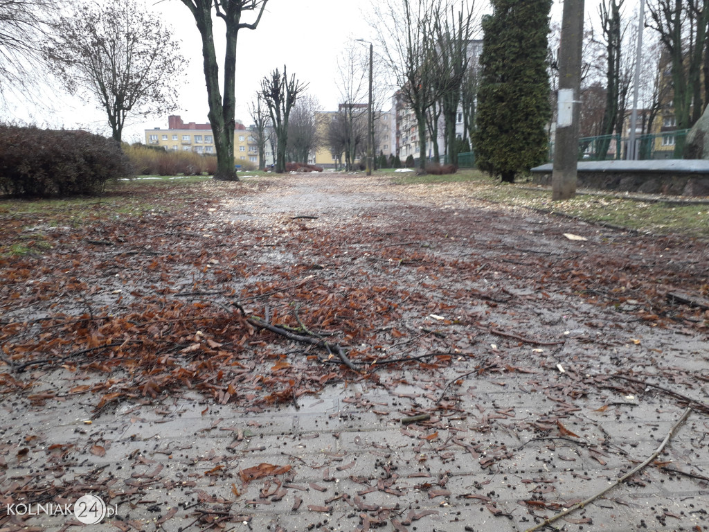 Mieszkańcy czekają na uprzątnięcie alejki