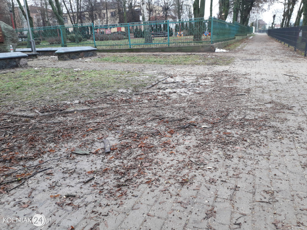 Mieszkańcy czekają na uprzątnięcie alejki