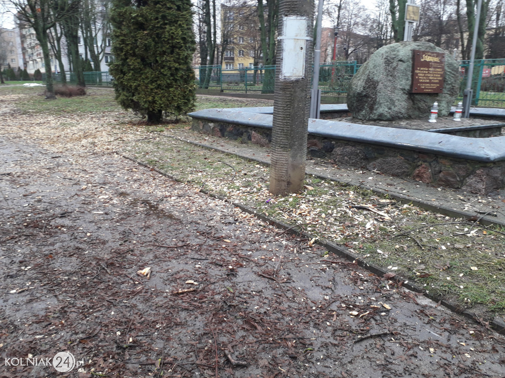 Mieszkańcy czekają na uprzątnięcie alejki
