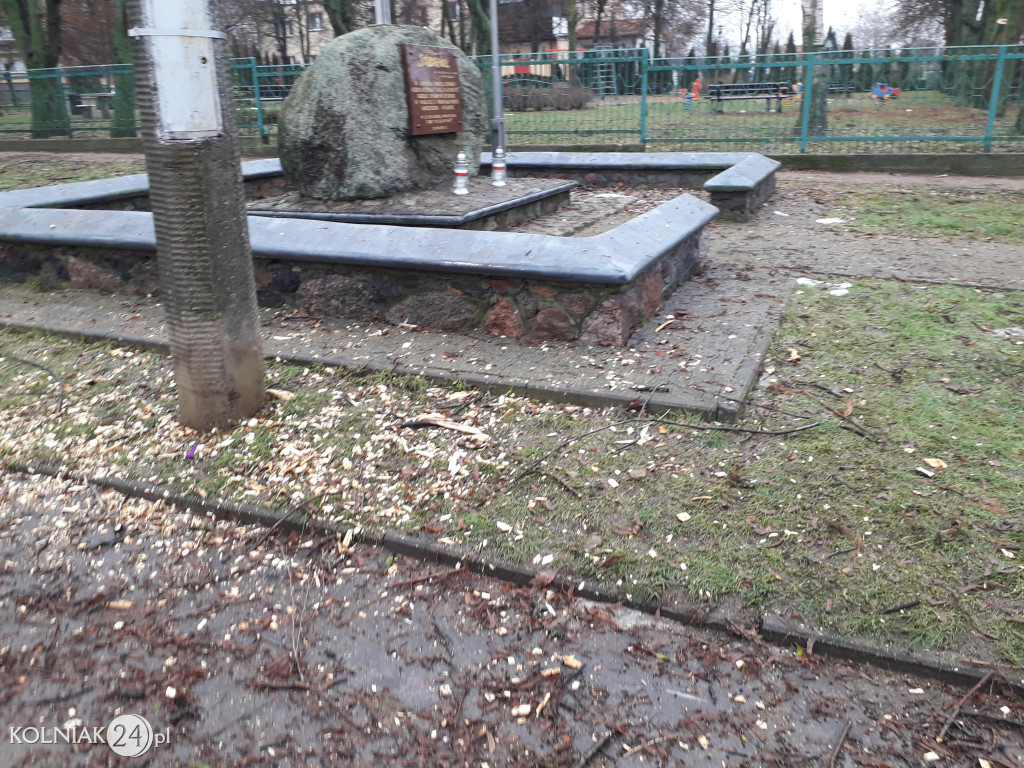 Mieszkańcy czekają na uprzątnięcie alejki